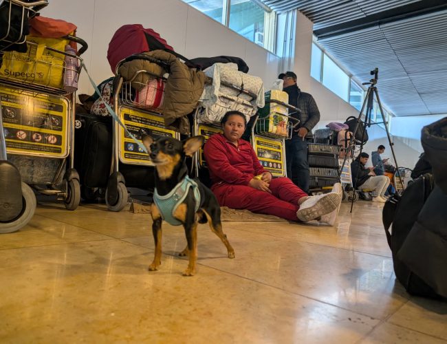Guía completa: Vuelos a Venezuela y alternativas para quienes están varados